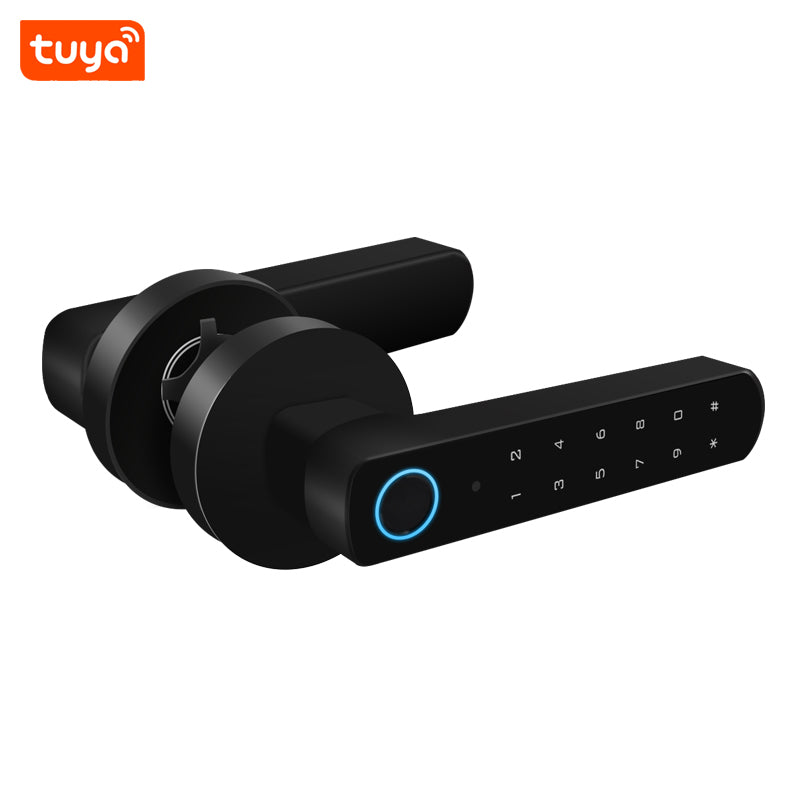 Smart Wireless Door Lock-Black